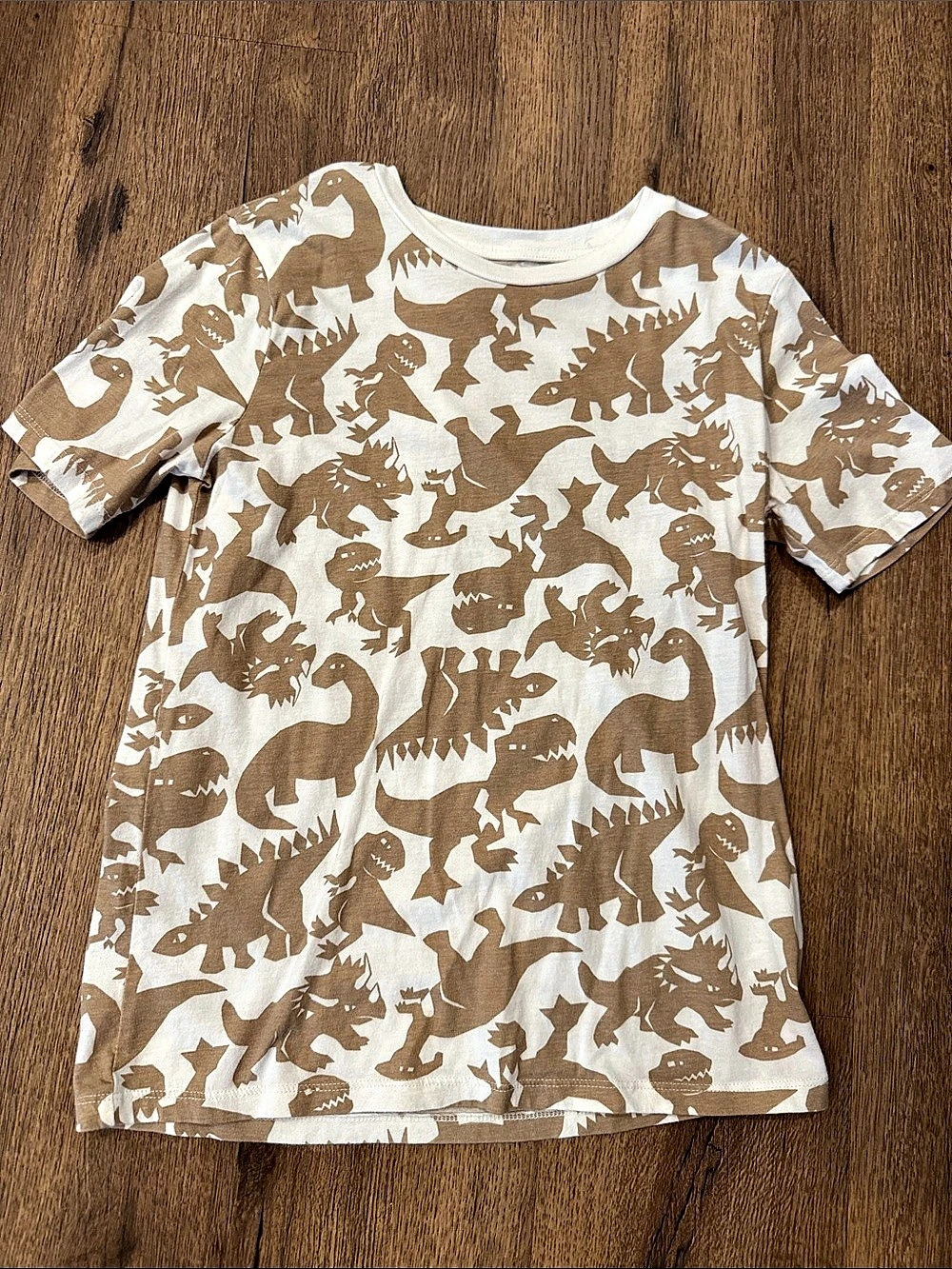H&M T-Shirt Boys Dinosaur Print Tee